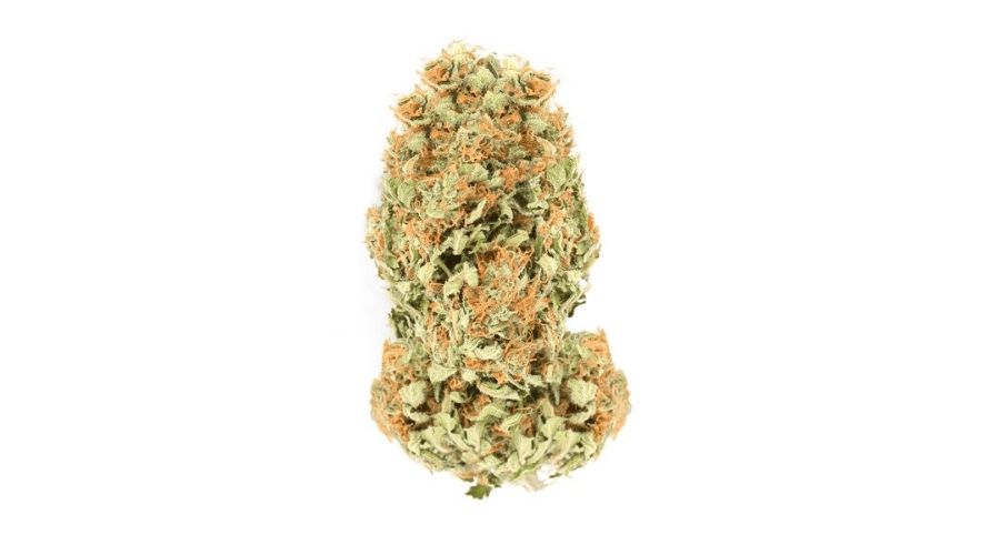 Wondering if Bruce Banner weed is right for you? Here's a breakdown to help you decide while buying weed online.