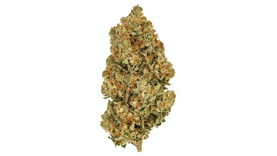 But wait, there's more to discover about this strain! When you take that first tantalizing inhale of Bruce Banner weed, the flavours come alive due to the terpenes, each telling its tale.