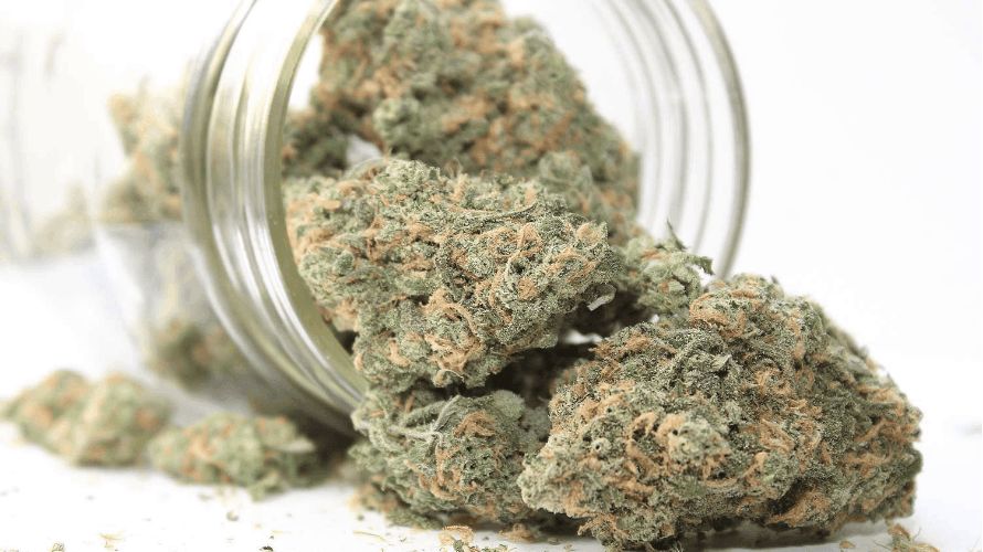 You've made it to the heart of the matter - the top three things you must know before you buy Indica online. 