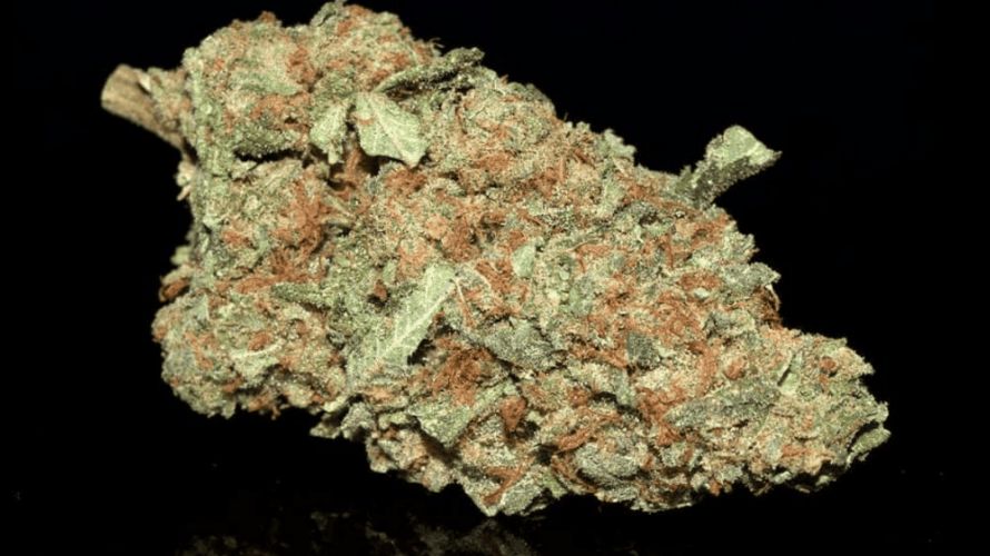 If you want to experience Trainwreck weed’s beauty, we encourage you to buy this So High Premium Syringes - Train Wreck.