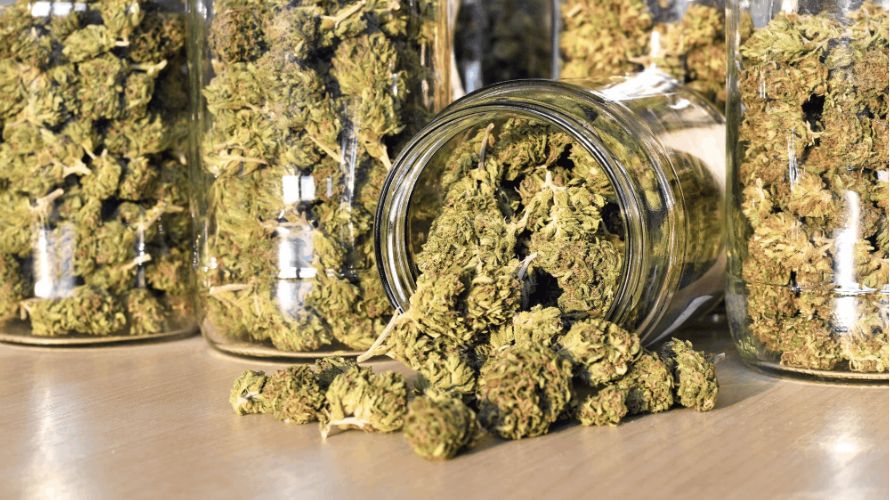 Buying an Indica online is super simple and quick. Here's what you need to do.