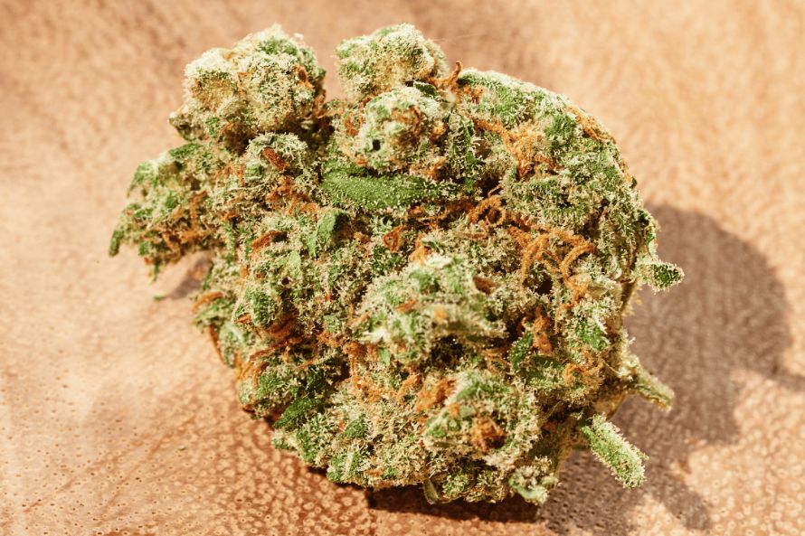 If you are feeling lazy, unproductive, and depressed, you need to try some high-quality Sativa weed. 