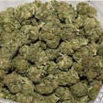 BUY-CAL-BUBBA-AA-CHRONIC-FLOWER-AT-CHRONICFARMS.CC-ONLINE-WEED-DISPENSARY-IN-BC-CANADA