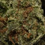 BUY-CAL-BUBBA-AA-CHRONIC-FLOWER-AT-CHRONICFARMS.CC-ONLINE-WEED-DISPENSARY-IN-BC-CANADA