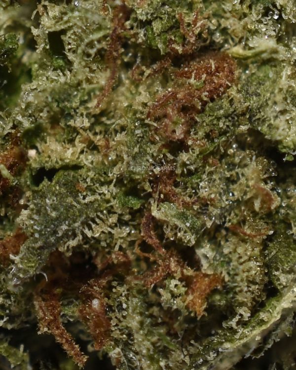 BUY-CAL-BUBBA-AA-CHRONIC-FLOWER-AT-CHRONICFARMS.CC-ONLINE-WEED-DISPENSARY-IN-BC-CANADA