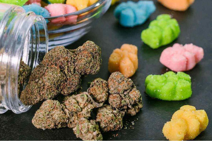 Canadian edibles are getting increasingly popular as people seek healthier, easy-to-use alternatives to smoking. Here’s all you need to know about edibles Canada