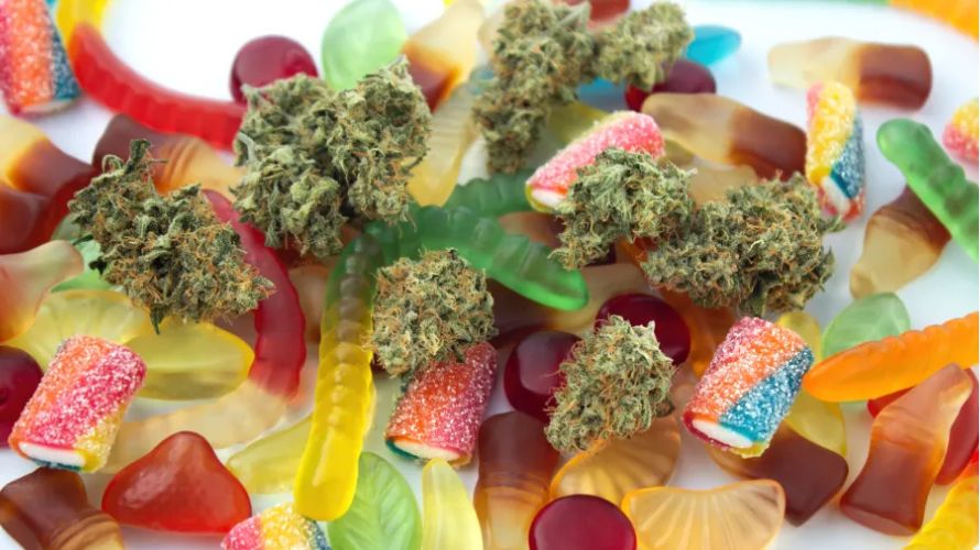 Want to buy weed online? Get premium Canadian Edibles from the leading online weed dispensary in the country, Chronic Farms.