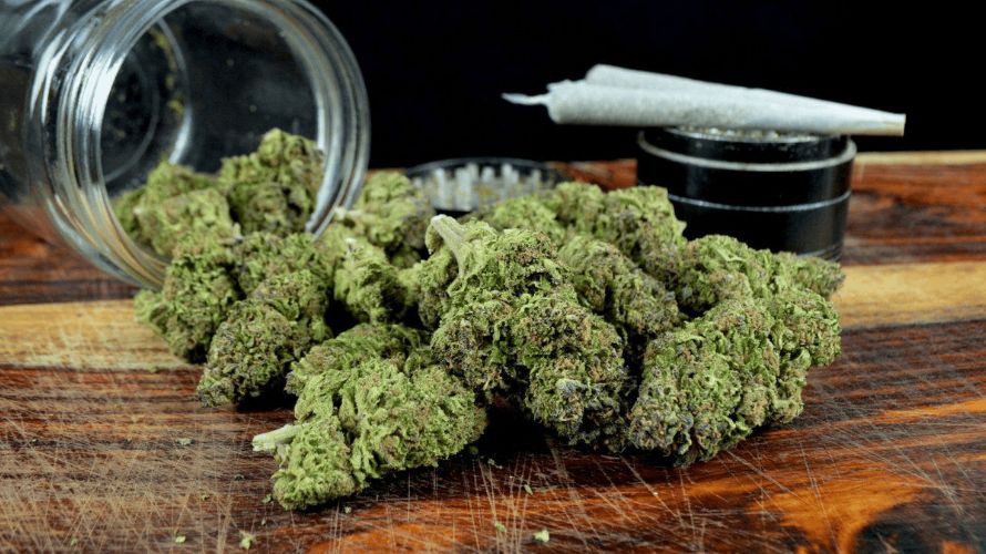 Deals and discounts - that's another benefit you can expect when you buy Canadian weed online. Head to your online weed dispensary now and check out all the amazing sales going on!