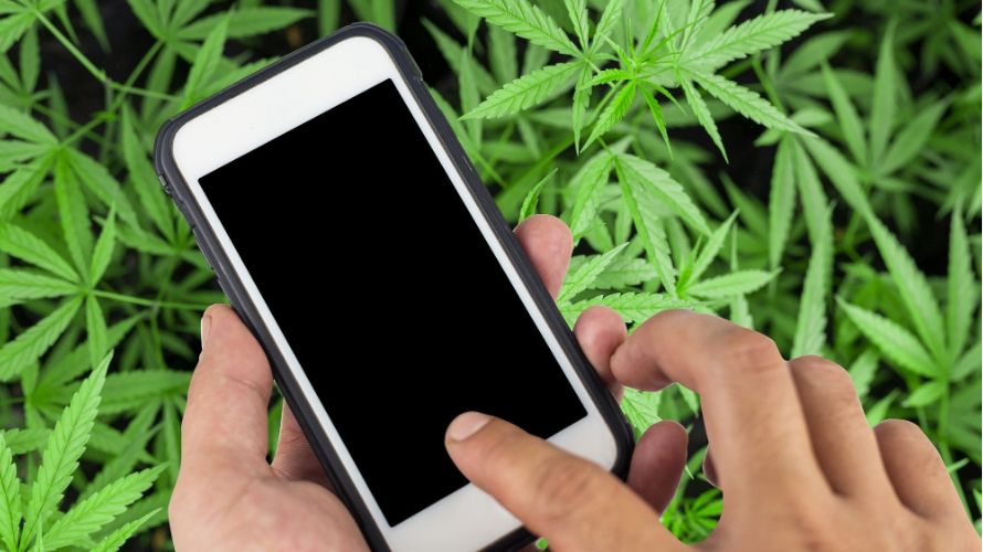 Online cannabis stores bring the dispensary to your doorstep, 24/7. 