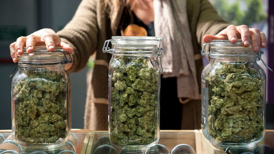 In this guide, we’ll explore everything you need to know about dispensary weed, including the benefits of purchasing from an online dispensary in Canada. Keep reading.