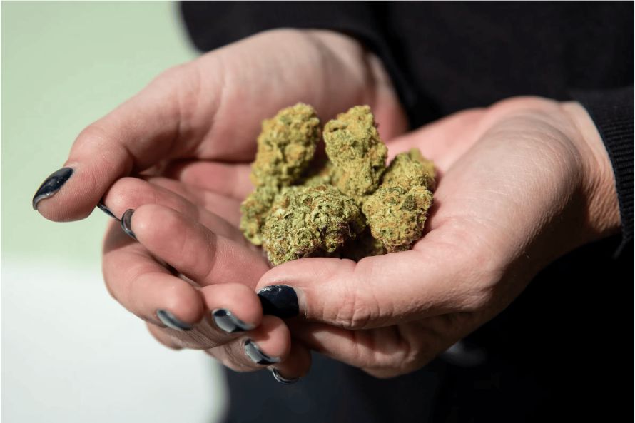 What is dispensary weed, & where can you buy it online? Here’s everything you need to know about buying cannabis at an online weed dispensary.