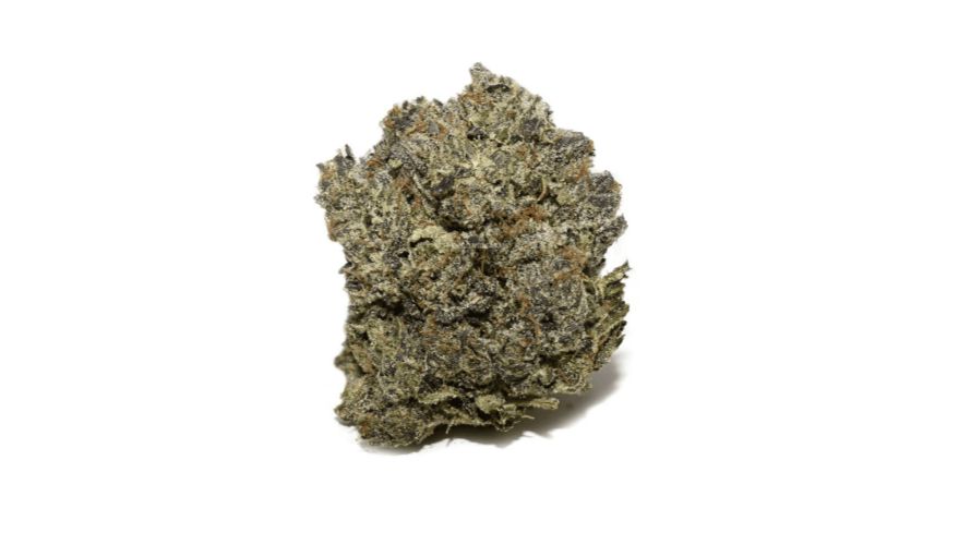 Buy an Indica online like Northern Lights, indulge your sweet tooth and enjoy a full burst of the most refreshing citrusy and earthy flavours. 