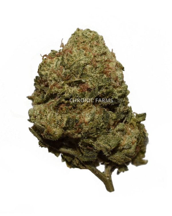 BUY-PEANUT-BUTTER-BREATH-AA-FLOWER-AT-CHRONICFARMS.CC-ONLINE-WEED-DISPENSARY-IN-BC