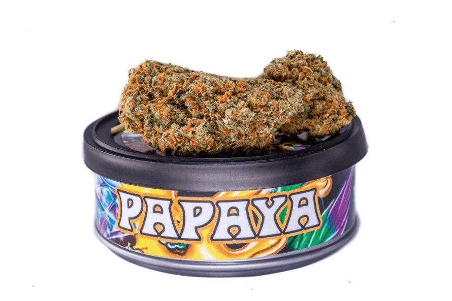 The Papaya strain is one of the most effective Indicas you can get in Canada, especially if you want to treat ADD and ADHD symptoms. 