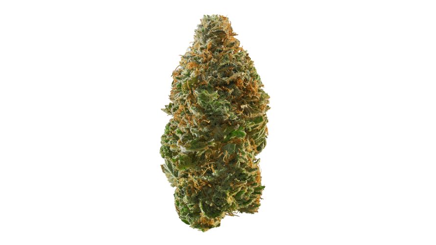 Trainwreck strain is a sativa-dominant strain said to have originated from Northern California.