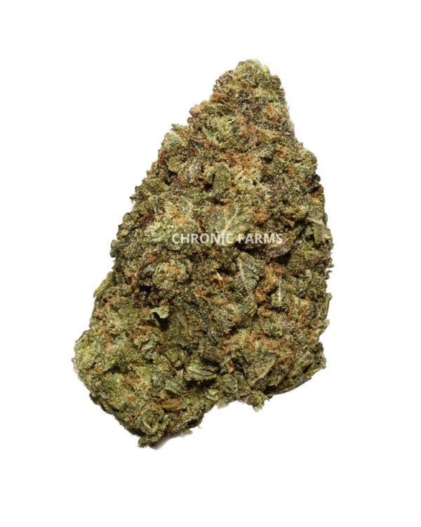 BUY-bluedream-AA-FLOWER-AT-CHRONICFARMS.CC-ONLINE-WEED-DISPENSARY-IN-BC-ALBERTA-TORONTO-ONTARIO-CALGARY-NOVASCOTIA-MANITOBA-QUEBEC