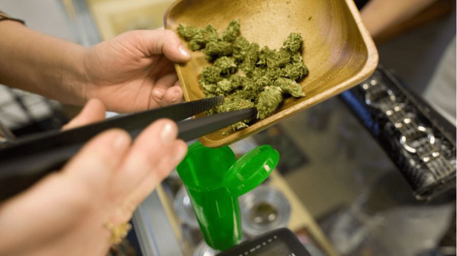 If you’re new to buying weed online, figuring out which site to shop from may be hard.