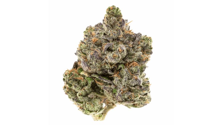 As you know by now from this review of the Bluefin Tuna Kush strain, this hybrid is a sour, berry, and fishy mixture with strong notes of citrus. 
