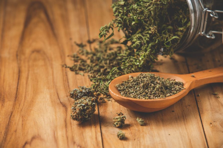 Discover the future of buying weeds online! Find out how digital cannabis buying can elevate your life. Check out this exclusive guide and get weeds online!