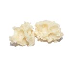 BUY-HAWAIIANSNOW-CRUMBLE-AT-CHRONICFARMS.CC-ONLINE-WEED-DISPENSARY-IN-CANADA-BC-VANCOUVER-TORONTO-MONTREAL-QUEBEC-CALGARY-EDMONTON-ONTARIO-OTTAWA-WINNIPEG-YUKON-ST.JOHN-NEWFOUNDLAND.WHITEHORSE.YELLOWKNIFE