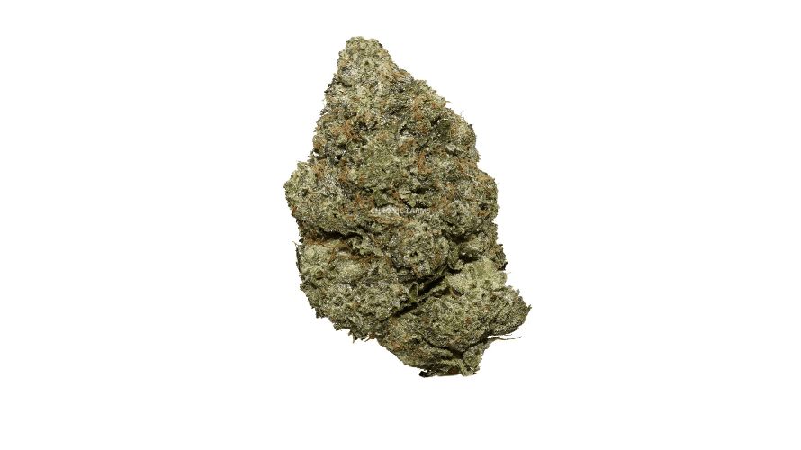 The Couch Lock (AAAA+) of course! Just like the MK Ultra strain, Couch Lock is a premium, top-grade cannabis Indica (85 percent Indica and 15 percent Sativa). 