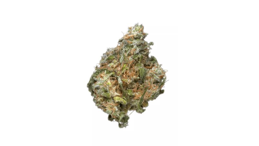 According to the MK Ultra strain info, this Indica contains around 18 percent THC, making it a good option for users of all tolerance levels. 