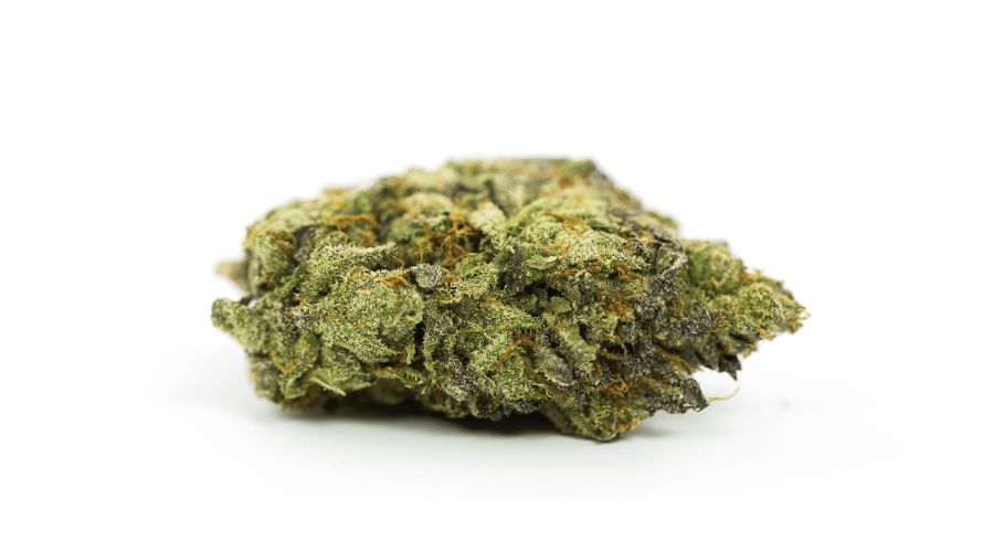 A puff of the MK Ultra strain is enough to know that this Indica is full of terpenes, the compounds in marijuana that make strains so heavenly smelling, delicious, and beneficial for our health. 