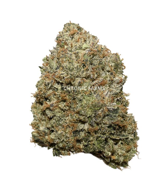 BUY-PINKKUSH-AAAA+-FLOWER-AT-CHRONICFARMS.CC-ONLINE-WEED-DISPENSARY-IN-BC-ALBERTA-TORONTO-ONTARIO-CALGARY-NOVASCOTIA-MANITOBA-QUEBEC