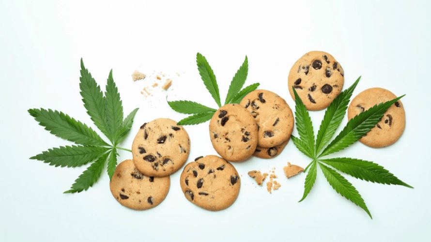 Baked goods include pastries infused with a cannabis concentrate.  