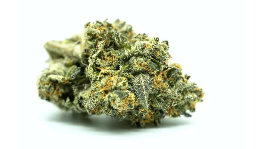 Canadian cannabis is known for its top-tier quality, and the online scene is no exception. When you buy weed online in Canada, you can rest assured that the product is tested and regulated.