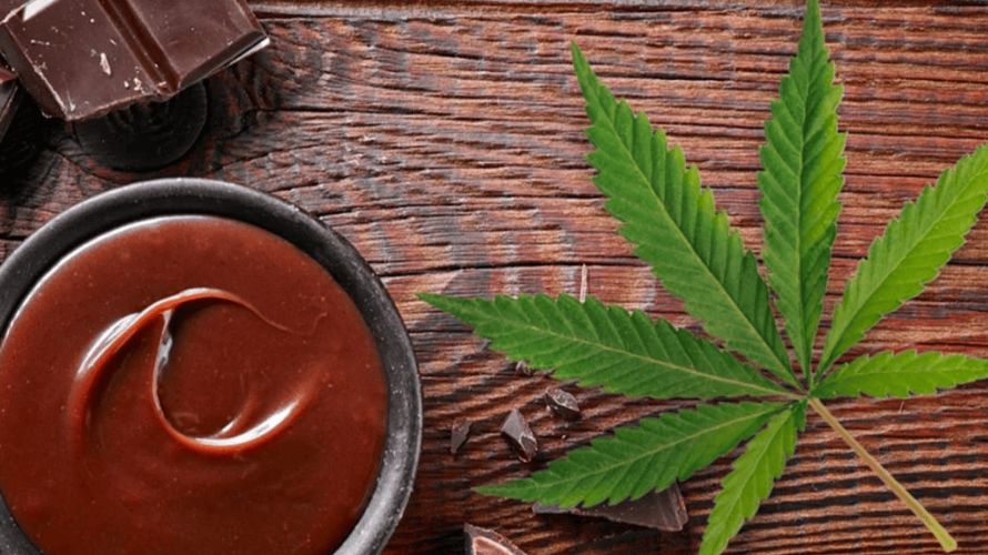 Cannabis chocolate is made by mixing hash oil with cocoa butter. The result is a mouthwatering treat with cannabis flare. 