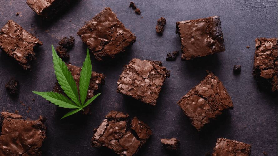 Are you thinking about using edibles with THC? That's the best thing you can do today! 