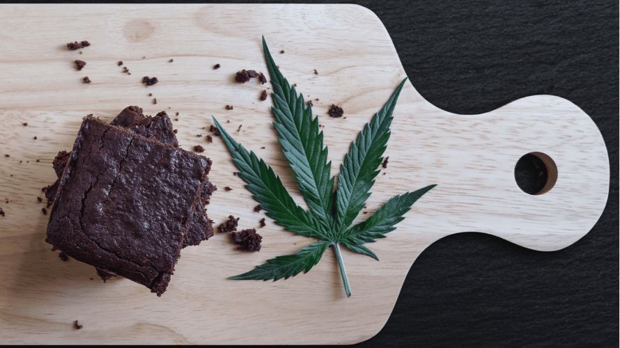 Edibles with THC offer a new-found high and the best trip you could imagine! According to consumers obsessed with edible weed, these delicious THC-rich treats offer numerous recreational AND medical benefits.