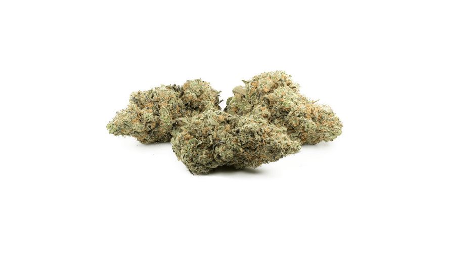 So, there you have it, folks – a whirlwind Ghost Train Haze strain review. From its terpene-laden aroma to its mind-bending effects and flavours, this is one cannabis experience that's truly out of this world.