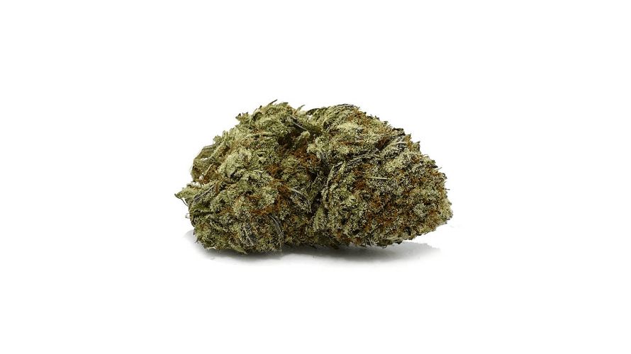 So there you have it– the lowdown on Gorilla Glue weed, the stickiest, ickiest, and absolutely fantastic strain on the block. 