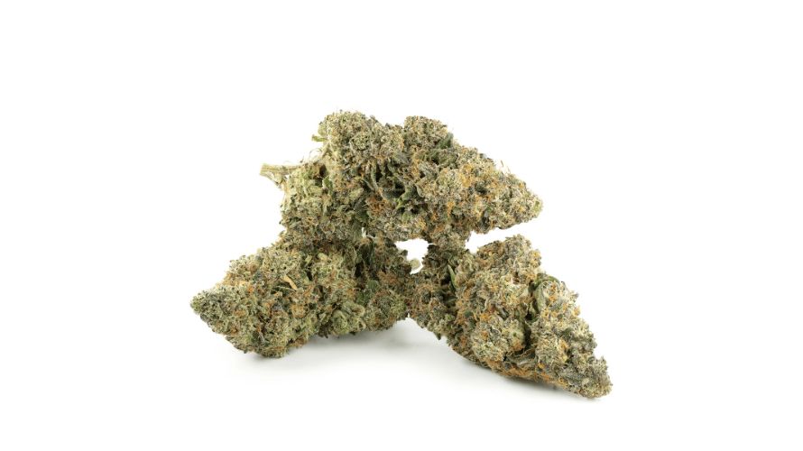 Buy Gorilla Glue weed, and you're immediately struck by its unique aroma. It’s like cracking open a fresh pinecone while standing in a field of blooming wildflowers, and you're halfway there.