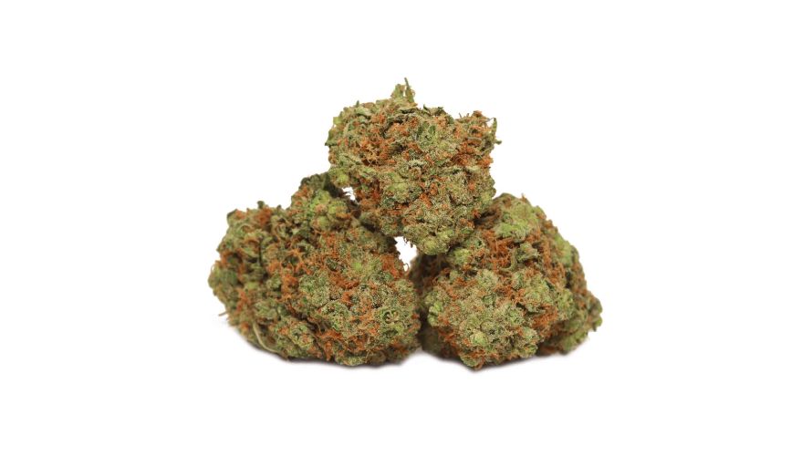 Gorilla Glue weed isn't only about its remarkable taste and high THC levels; it also has a host of medicinal benefits.