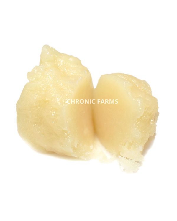 SHOP-BUY-ICECREAMGELATO-BUDDER-AT-CHRONICFARMS.CC-ONLINE-WEED-DISPENSARY-IN-CANADA