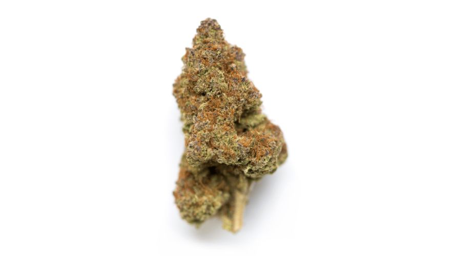 Ghost Train Haze strain is like the wildest of the cannabis world, but where did it come from? Well, my friends, it's like a match made in marijuana heaven – Ghost Train Haze was born from the fusion of two legendary strains: Ghost OG and Neville's Wreck.