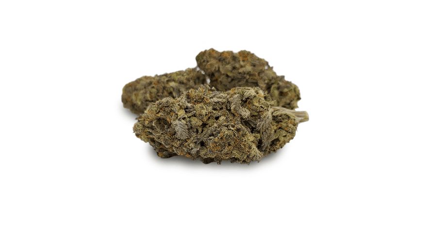 For those seeking a reputable online dispensary to purchase Nuken weed strain, ChronicFarms.com stands as a dependable choice.