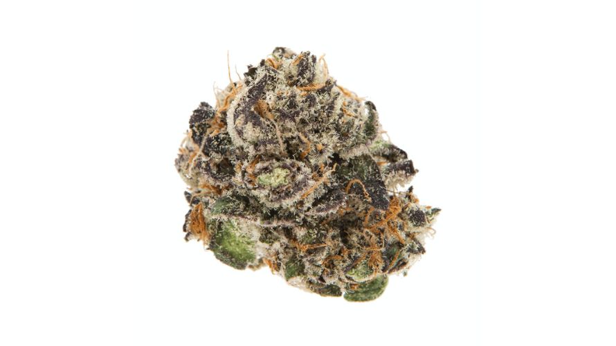 Peanut Butter Breath has compact, grape-shaped buds. These buds are densely packed and have a rich dark green colour.