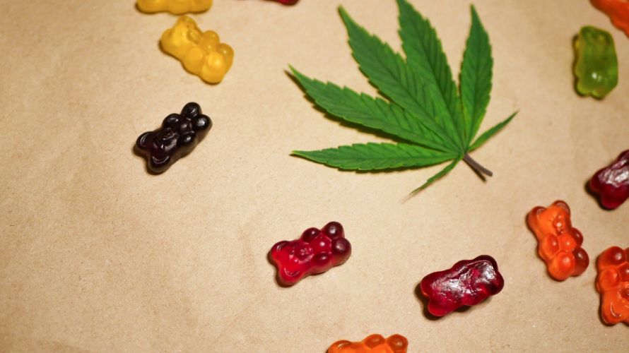In the world of cannabis, edibles are a potent and captivating option. The delicious taste and longer-lasting effects make them a favourite for most Canadians.