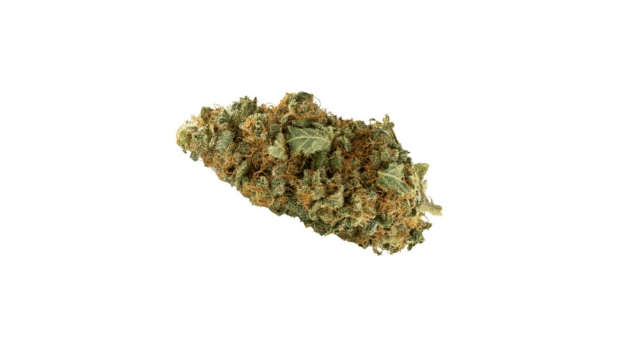 Alright, we can't talk about Gorilla Glue weed without geeking out over its terpene profile.