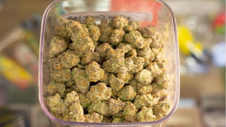 Weed edibles are all the rage right now, and this trend is here to stay! Even your grandma has probably mentioned them.