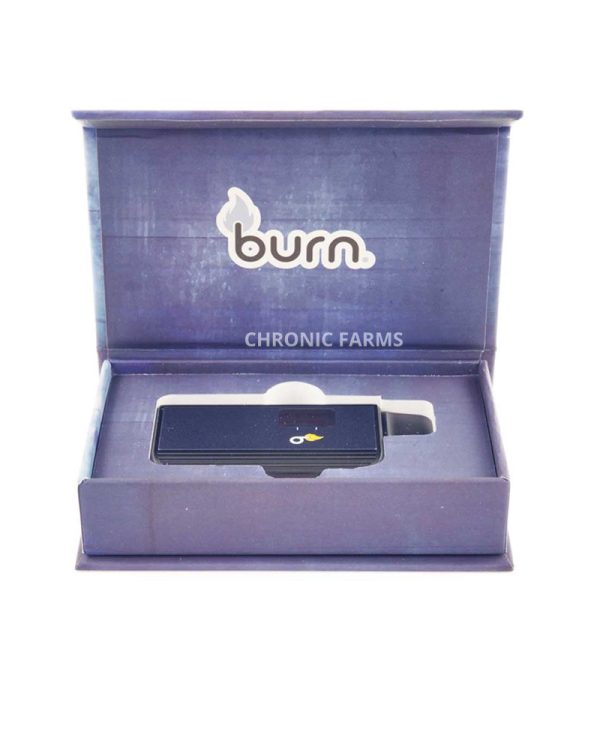 BUY-BURNEXTRACTS-blueberrymojito-DISPOSABLE-DISTILLATE-WEED-PEN