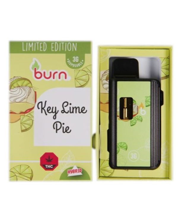 BUY-BURNEXTRACTS-keylimepie-DISPOSABLE-DISTILLATE-WEED-PEN