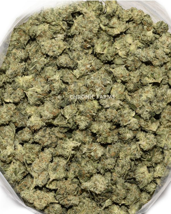 BUY-GHOSTOG-POPCORN-AAA-ONLINE-WEED-CANNABIS-AT-CHRONICFARMS.CC-IN-CANADA-BC-VANCOUVER-TORONTO-QUEBEC-MANITOBA-CALGARY