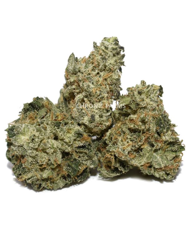 BUY-GHOSTOG-POPCORN-AAA-ONLINE-WEED-CANNABIS-AT-CHRONICFARMS.CC-IN-CANADA-BC-VANCOUVER-TORONTO-QUEBEC-MANITOBA-CALGARY