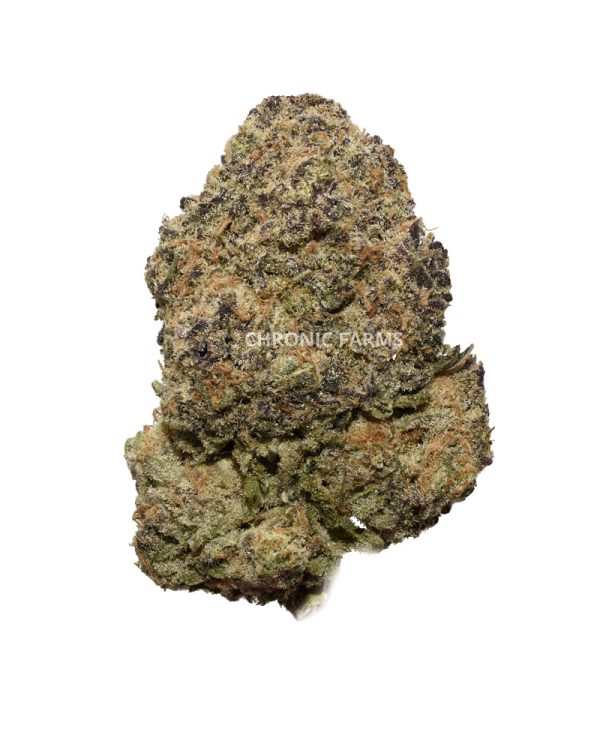buy-hawaiiansnow-aaaa-cannabis-online-at-chronicfarms.cc-weed-dispensary-in-bc