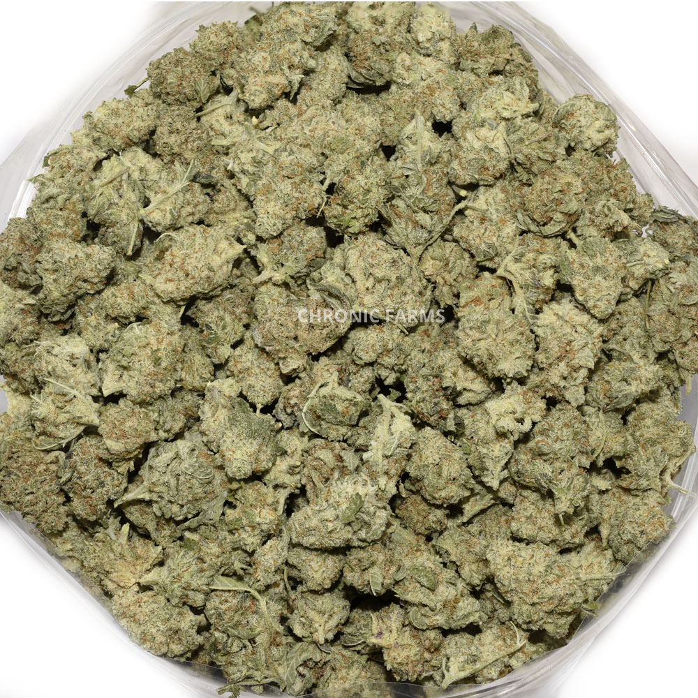 BUY-JUNGLEMAC-POPCORN-AAA-ONLINE-WEED-CANNABIS-AT-CHRONICFARMS.CC-IN-CANADA-BC-VANCOUVER-TORONTO-QUEBEC-MANITOBA-CALGARY